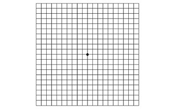セルフチェック方法