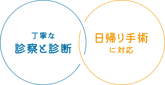 丁寧な診察と診断 日帰り手術に対応